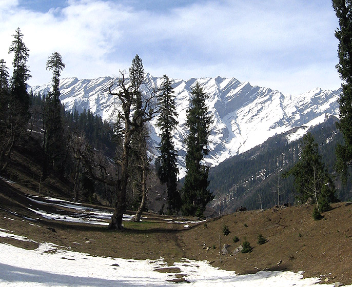 Day 4 : Manali - Local Sight Seeing & Solang Valley Visit