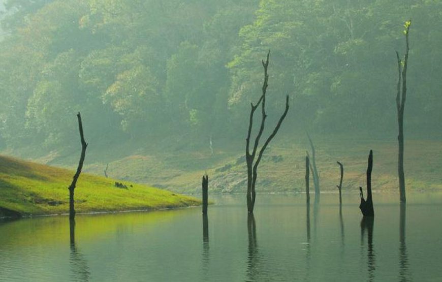 Kerala: Munnar-Thekkady -Apy / Kum – Kanyakumari – Kovalam / Poovar
