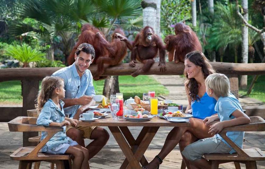 Explore Bali’s Best: Stunning Beaches, Cultural Tours & Adventure-Packed Packages