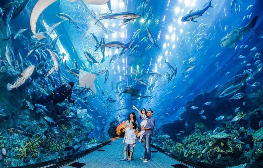 Dubai Tour Package – Every Friday Fixed Departure | Best Dubai Holiday Deals from India