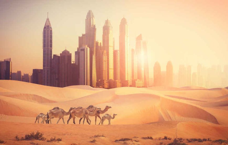 Dubai Tour Package – Every Friday Fixed Departure | Best Dubai Holiday Deals from India