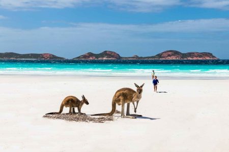 Kangaroo Island Austalia