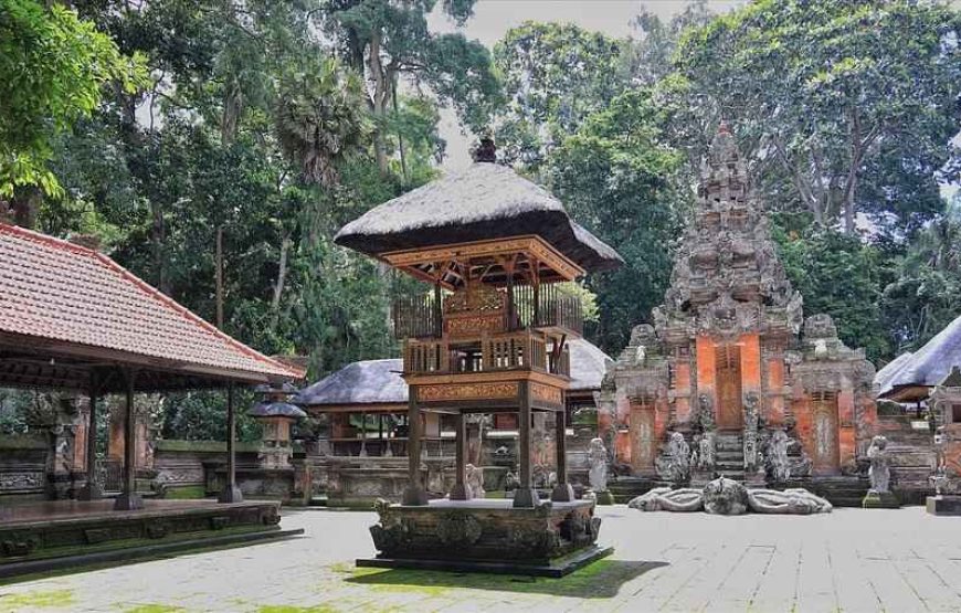 Explore Bali’s Best: Stunning Beaches, Cultural Tours & Adventure-Packed Packages