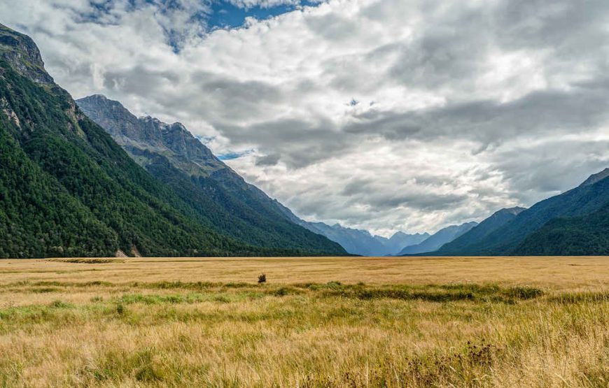 Explore the New Zealand: Viaduct Harbour to Mt. Cook – Ultimate Tour Package