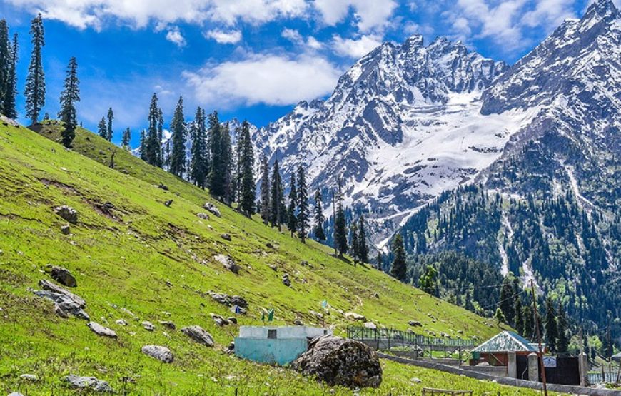 Kashmir Escape: Srinagar, Gulmarg & Pahalgam Tour Package