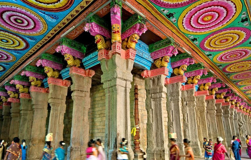 Temples of South India: Ultimate Temple Tour Package