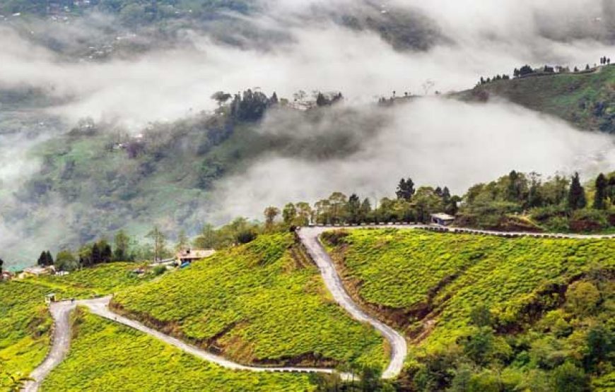 Gangtok & Darjeeling Travel Packages Explore Mystery Mountain