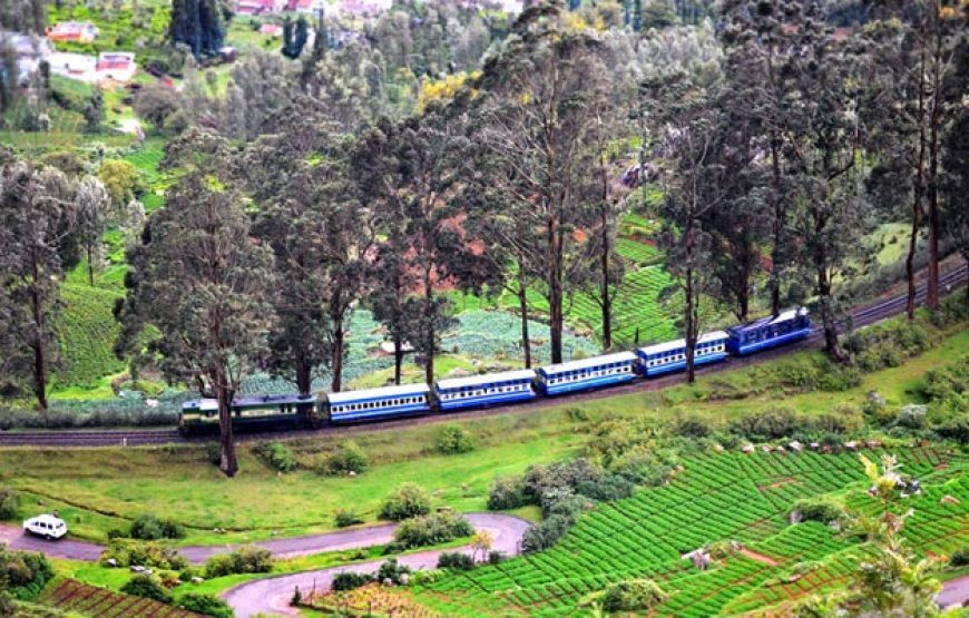 Coimbatore-Ooty-Coonoor Tour Package