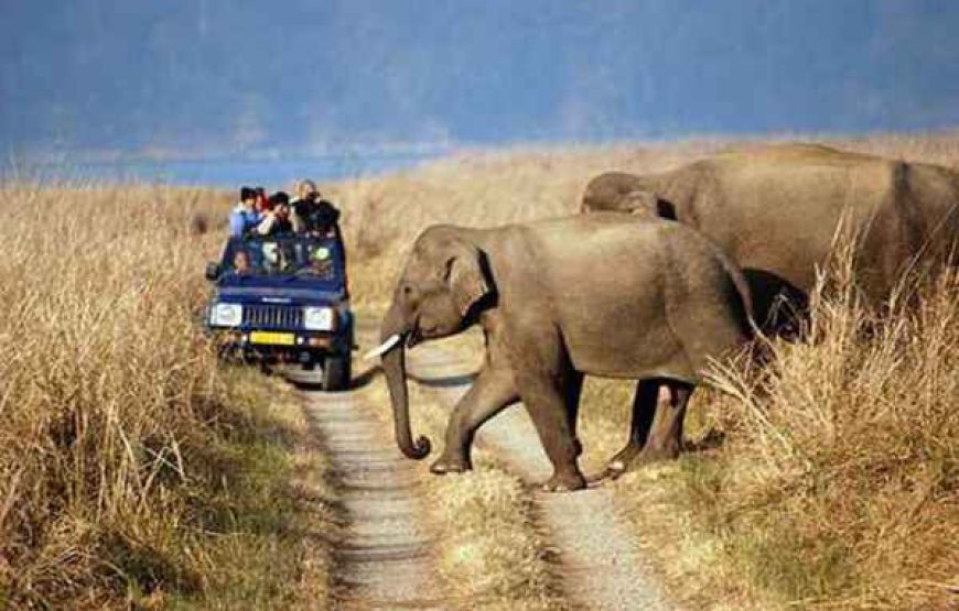 From Jungles ,Hills & River to Lakes: Corbett National Park and Nainital Tour