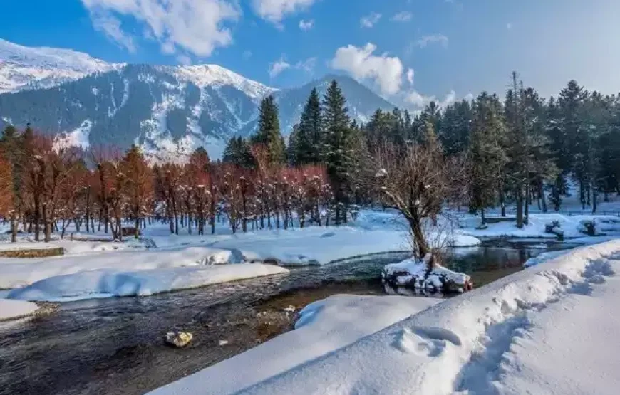 Kashmir Family Tour: Explore Paradise Together