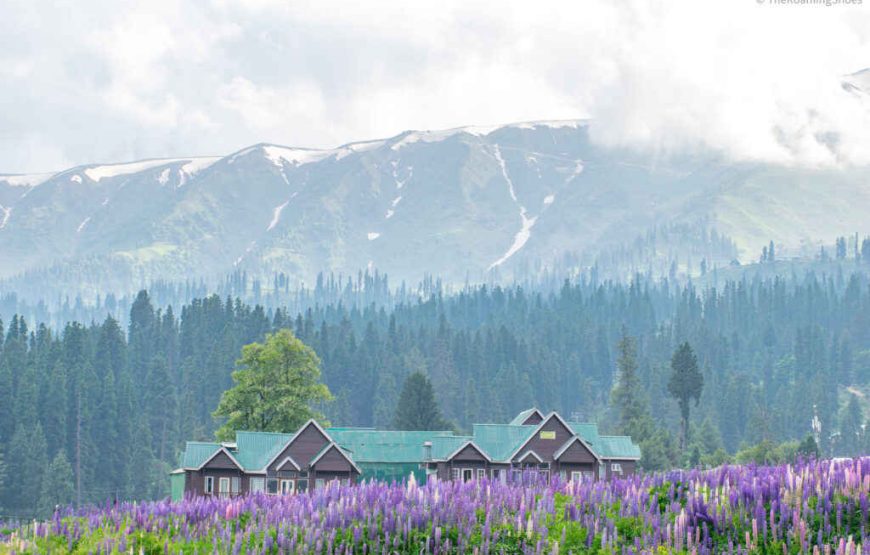 Kashmir Escape: Srinagar, Gulmarg & Pahalgam Tour Package