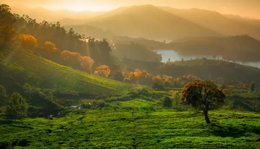 Image hills in ooty in mornig