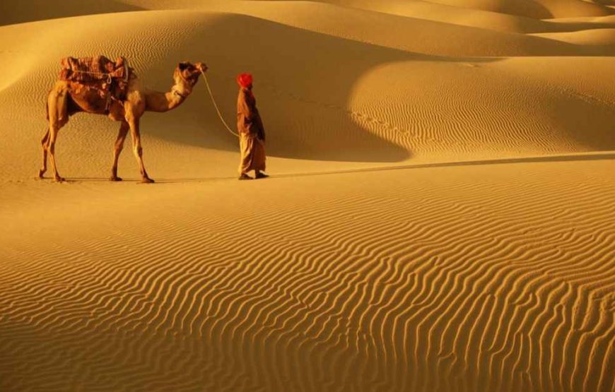 Jodhpur and Jaisalmer Tour: Experience 4 Days of Rajasthan’s Desert Magic