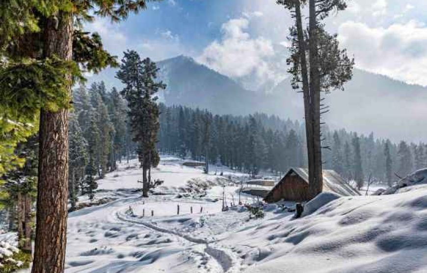 Kashmir Family Tour: Explore Paradise Together