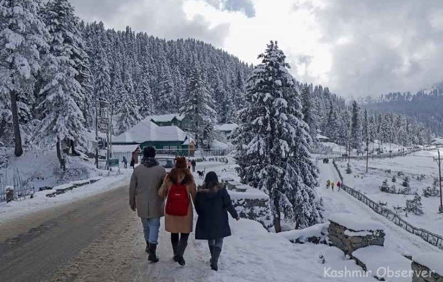 Kashmir Family Tour: Explore Paradise Together