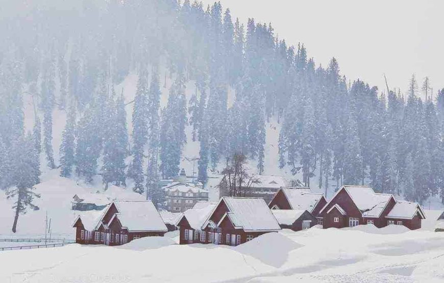 Kashmir Family Tour: Explore Paradise Together