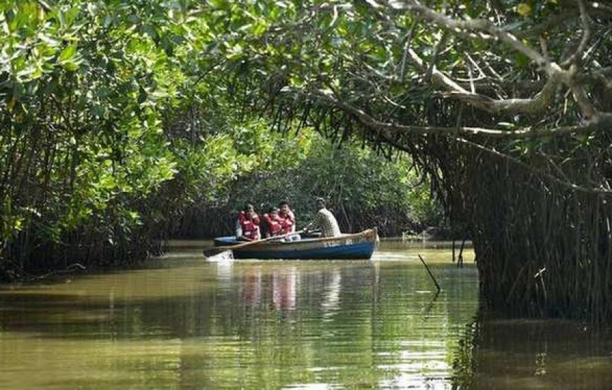 Discover Pondicherry: Ultimate Beaches Tour Package in Coastal Paradise