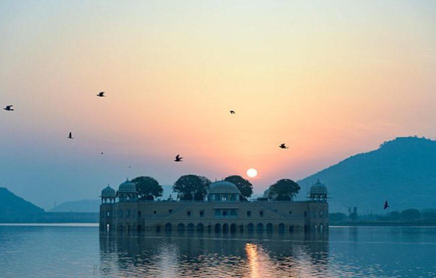 Explore Rajasthan: Jaipur, Pushkar, Ajmer, and Ranthambore Tour