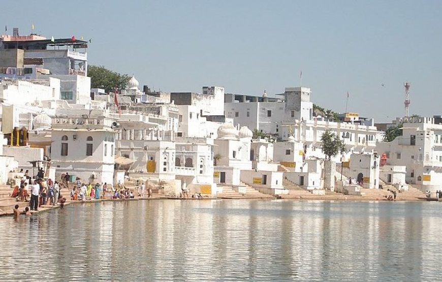 Explore Rajasthan: Jaipur, Pushkar, Ajmer, and Ranthambore Tour