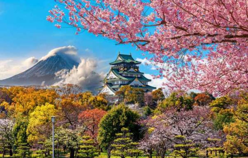 Japan Tour for School Students: Explore, Learn, and Experience Culture