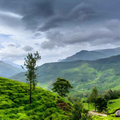 WAYANAD