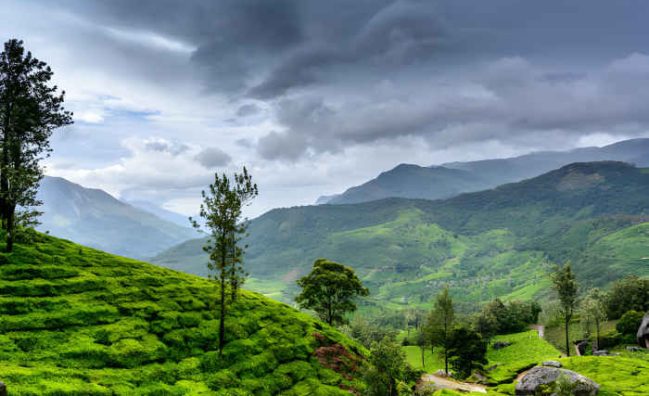 WAYANAD tour