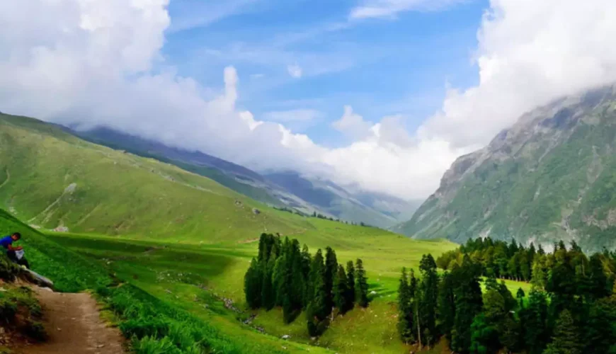 Himalayan landscape from Chail with pine trees