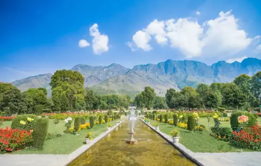 Kashmir Family Tour: Explore Paradise Together