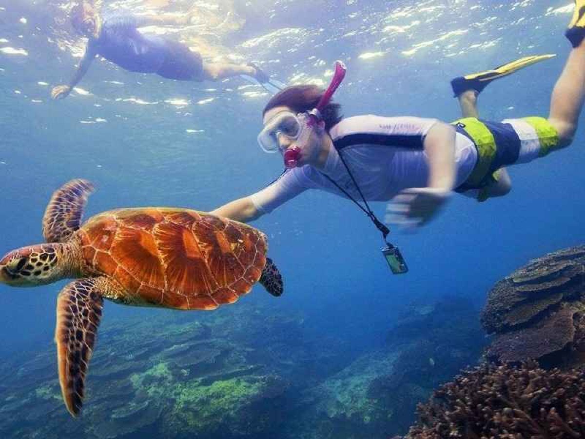 Andaman snorkeling