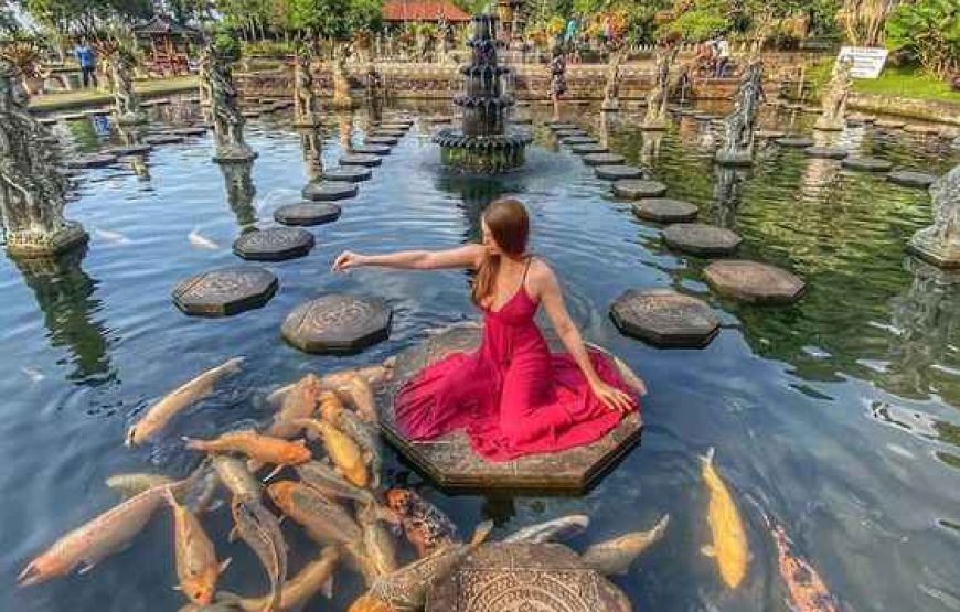 Explore Bali’s Best: Stunning Beaches, Cultural Tours & Adventure-Packed Packages