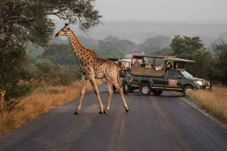 Kruger Gate Safari south africa