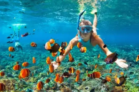 Snorkeling In Andaman