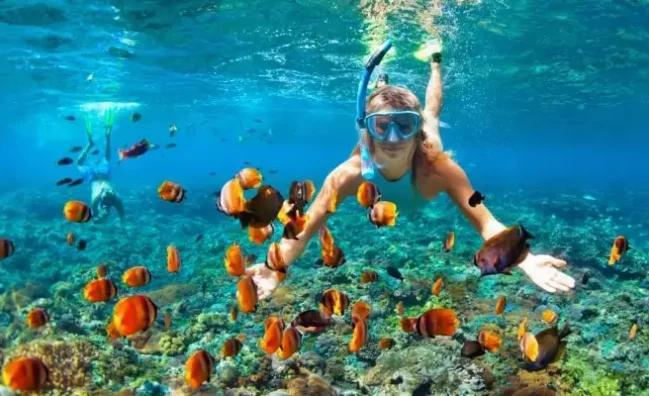 Snorkeling In Andaman