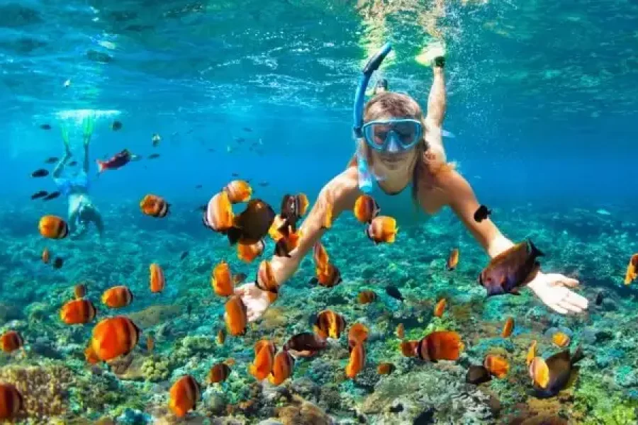 Snorkeling In Andaman