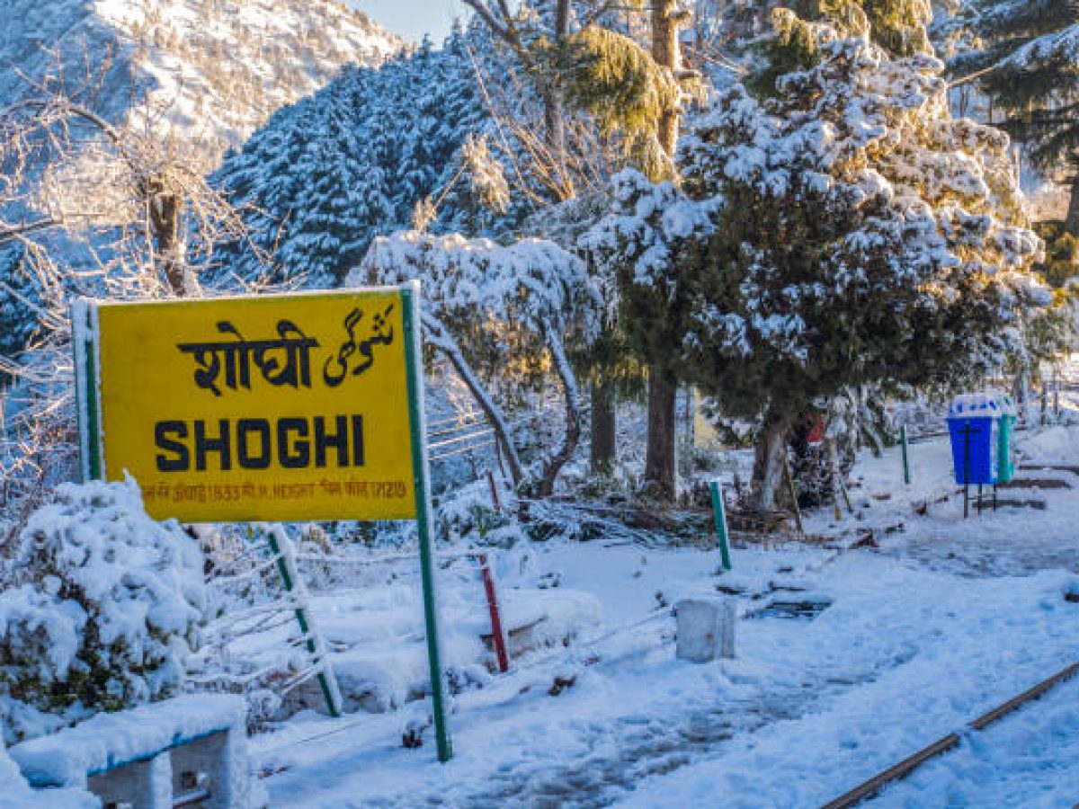 Snow in Shogi Shimla