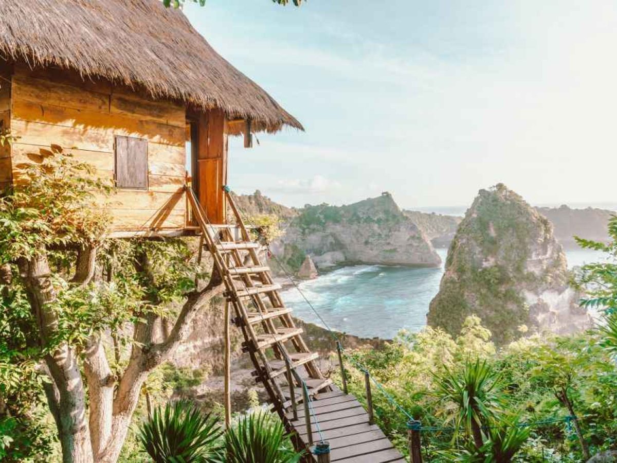 tree home in bali