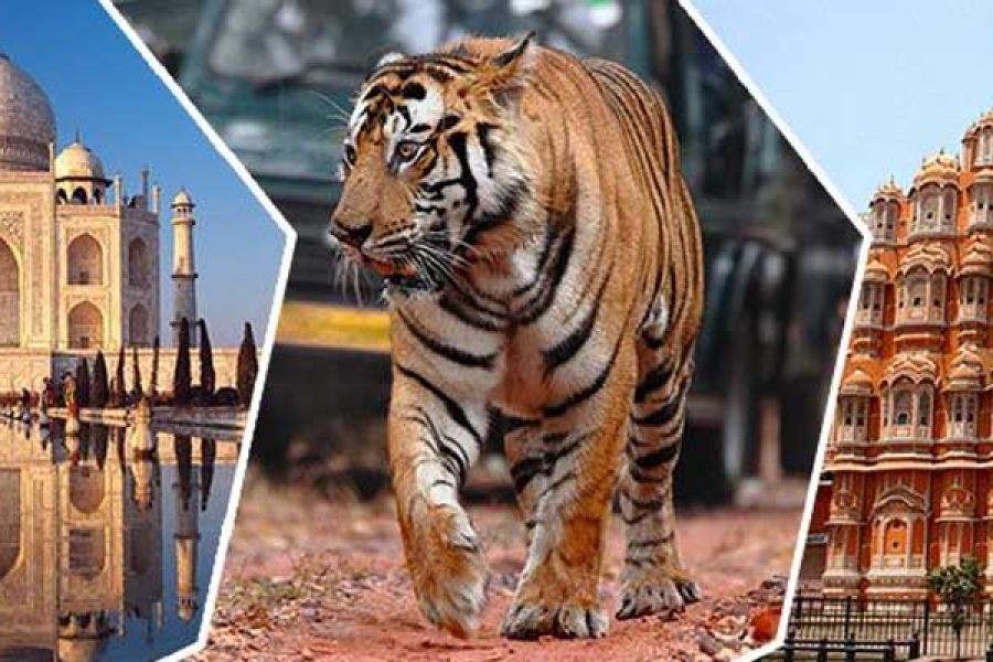 Golden Triangle with Ranthambore