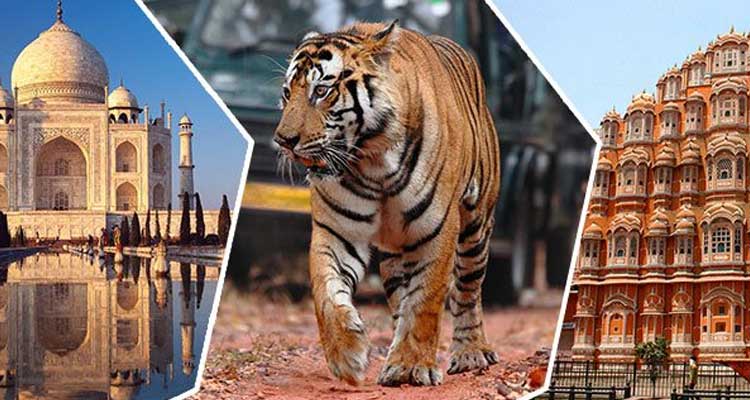 Golden Triangle with Ranthambore